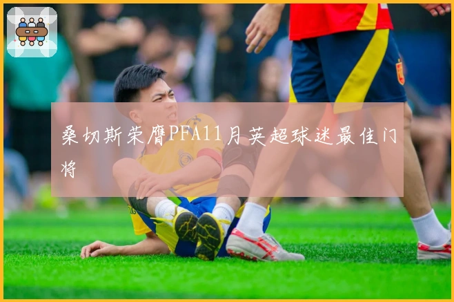 桑切斯荣膺PFA11月英超球迷最佳门将