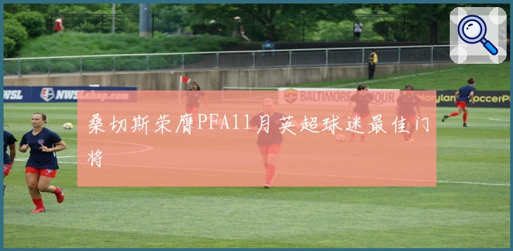 桑切斯荣膺PFA11月英超球迷最佳门将